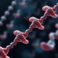 Study Finds Archaic DNA Could Reduce Immunity to Common DNA Viruses in Modern Humans — Biology