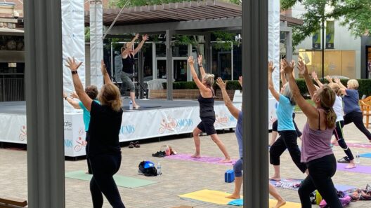 Henry Ford Macomb offers Wellness Wednesdays at Patridge Creek mall – Macomb Daily