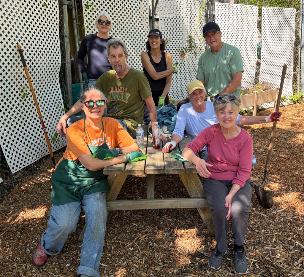 Norristown Garden Club members add a bit of beauty to Expressive Path