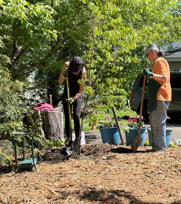 A group of Norristown Garden Club members and a couple of husbands worked in a small area behind the Expressive Path location(Photo courtesy of Norristown Garden Club)