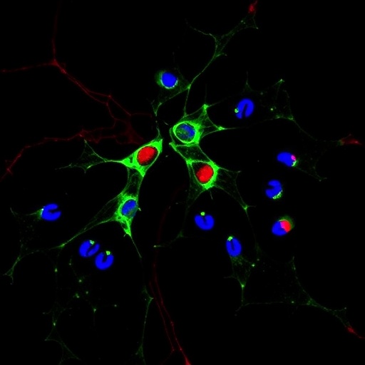 TopBP1 Drives PU.1–IRF8 in Dendritic Cell Immunity