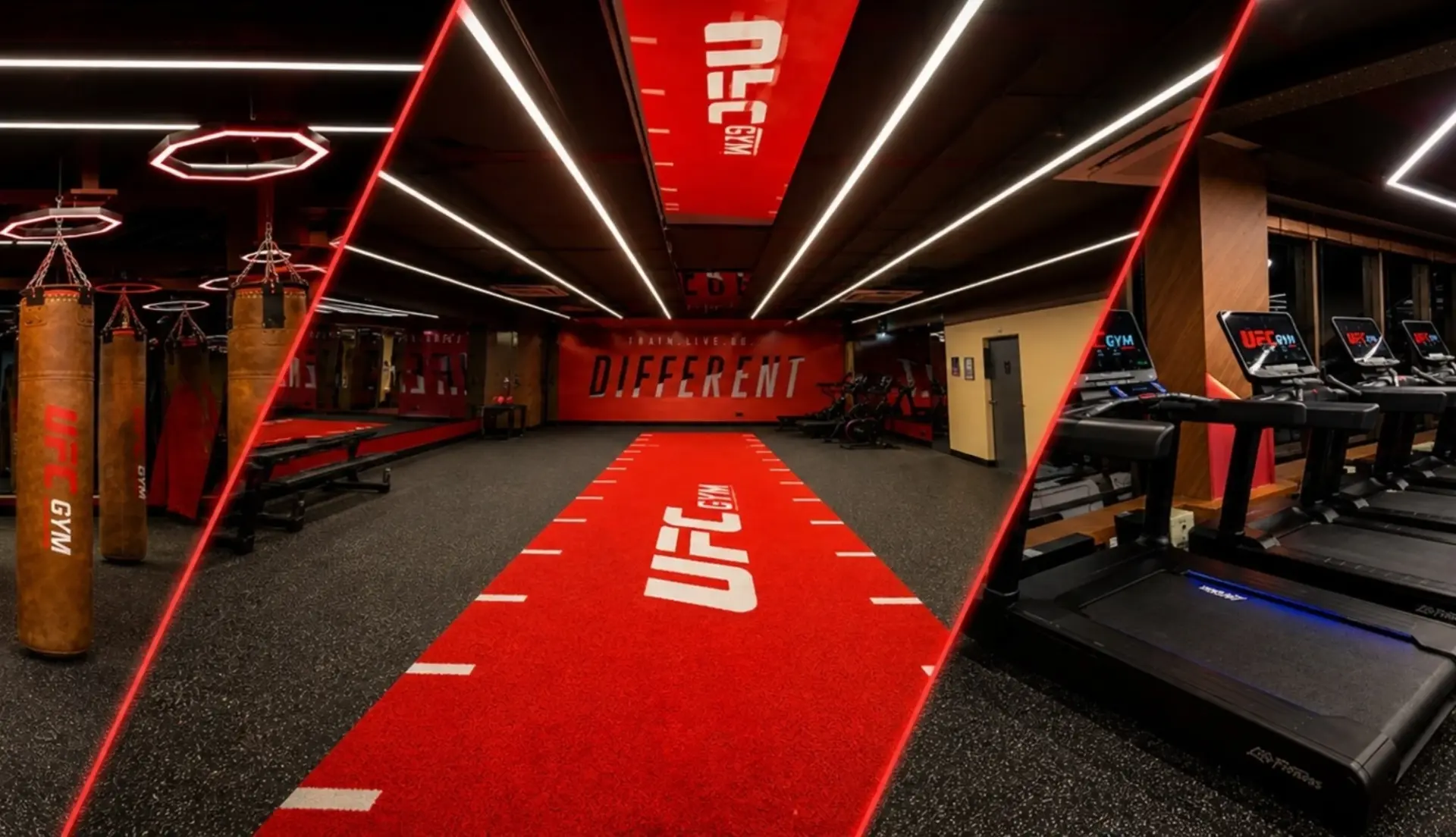 UFC Gym Eyes More Expansion in India's Booming Fitness Market