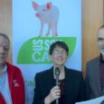 Rethinking soybean meal: Four pillars reshape swine nutrition application strategies