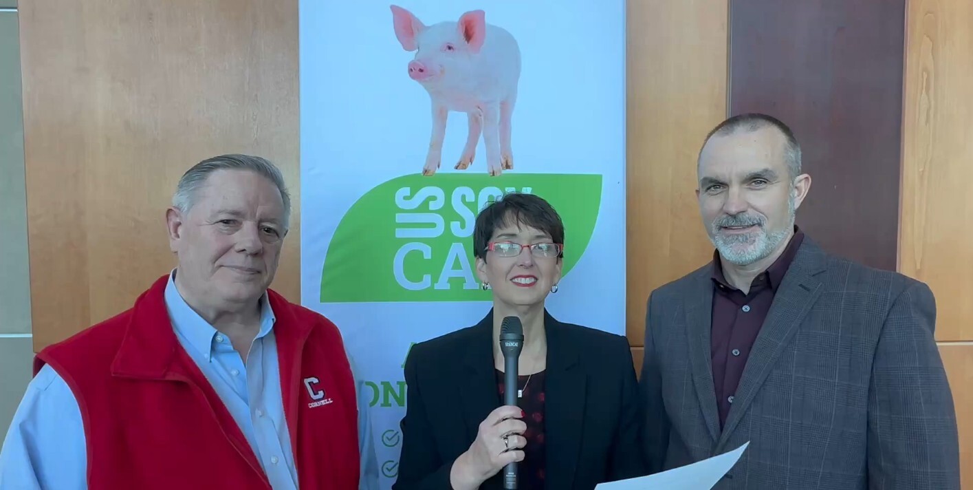 Rethinking soybean meal: Four pillars reshape swine nutrition application strategies