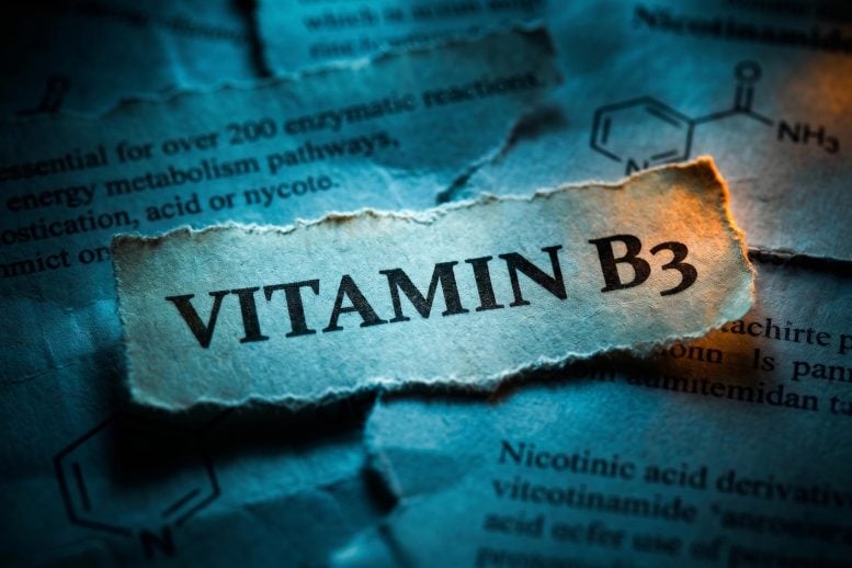 Vitamin B3 Chemistry Paper