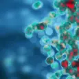 Forging resilient warriors within: exercise’s epic role in training innate immunity and taming inflammation’s storm