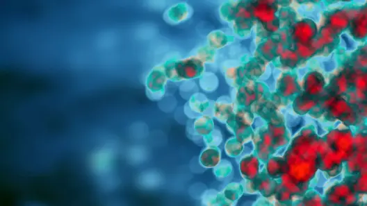Forging resilient warriors within: exercise’s epic role in training innate immunity and taming inflammation’s storm