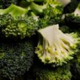 Go vegan without sacrificing calcium