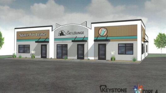 New Cat Lounge And Nutrition Store Proposed For Sauk Rapids