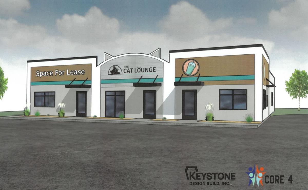 New Cat Lounge And Nutrition Store Proposed For Sauk Rapids