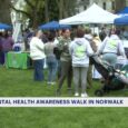 News 12 | Connecticut | 5th Annual Norwalk For Mental Health Walk Wellness Fair Held In Citys Town Green