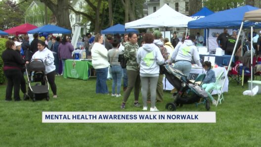 News 12 | Connecticut | 5th Annual Norwalk For Mental Health Walk Wellness Fair Held In Citys Town Green