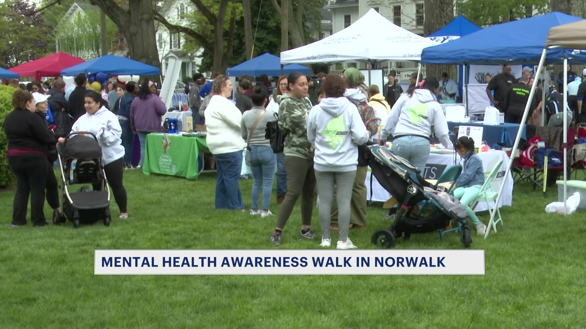 News 12 | Connecticut | 5th Annual Norwalk For Mental Health Walk Wellness Fair Held In Citys Town Green