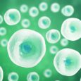 Nanoparticles Retrain Immune System to Treat Asthma