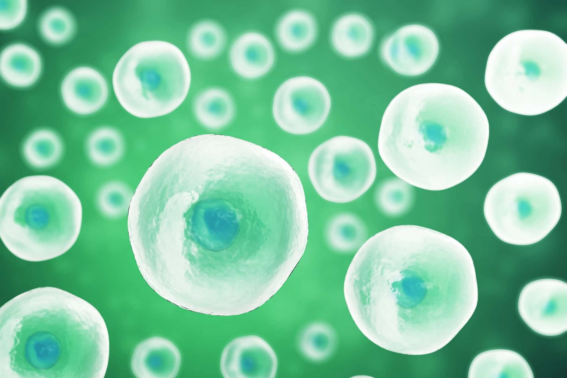 Nanoparticles Retrain Immune System to Treat Asthma