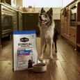 Clinical Nutrition Dog Food : Clinical Nutrition Dog Food
