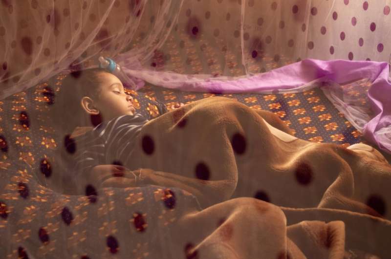 Cracking the code of natural malaria immunity: New study identifies the proteins behind disease protection