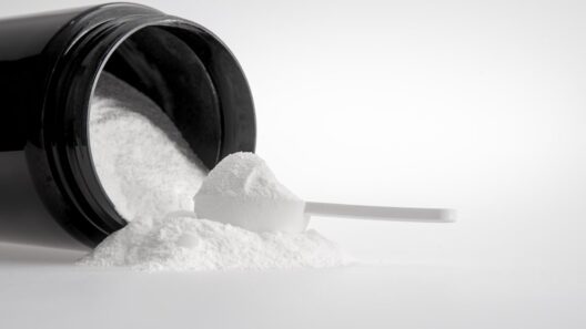 Creatine’s role in health and wellness grows