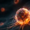 Scientists discover vitamin B2 may help cancer cells survive