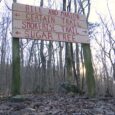Alabama leaders highlight state's natural beauty with 'Year of Trails' celebration at Blevins Gap