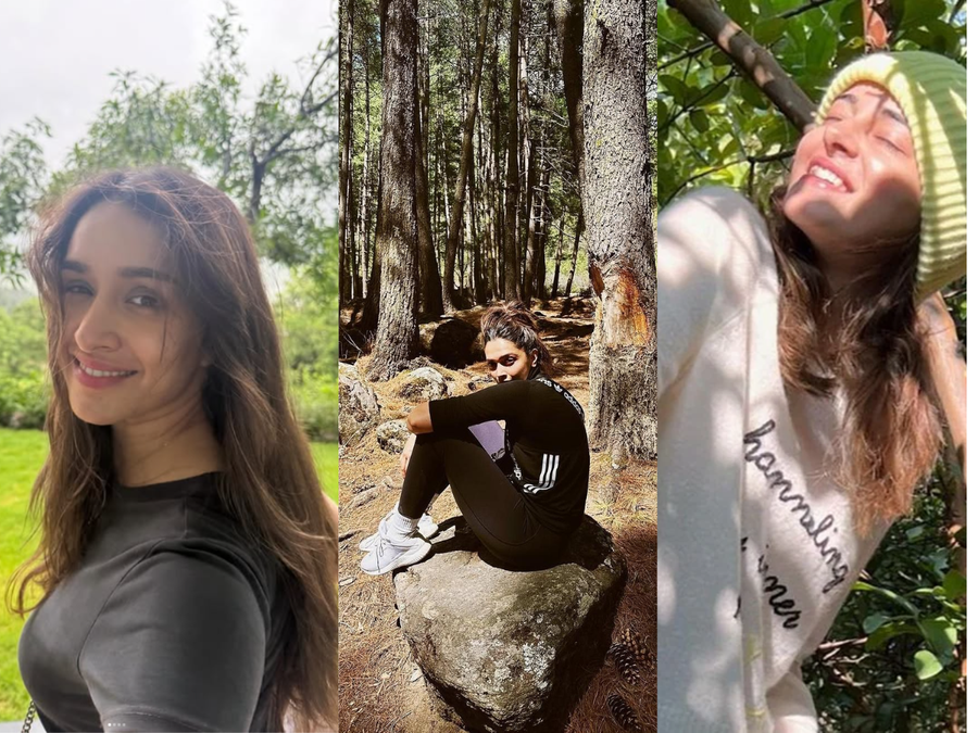 Forest Bathing Could Be The Wellness Habit That Actually Sticks