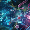 Expanding microbiome innovation with postbiotics