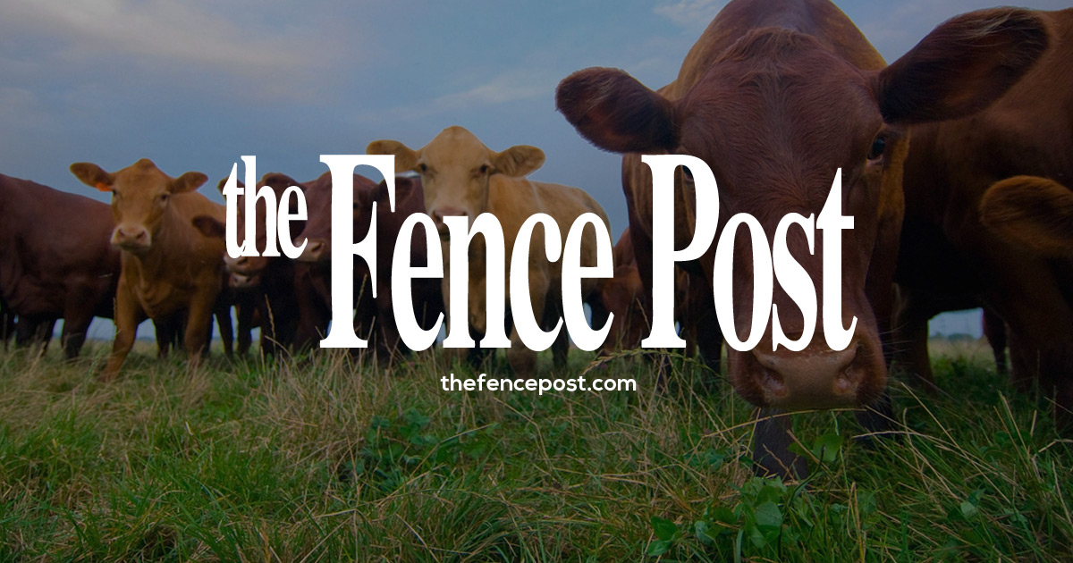 USDA releases interim final rule on whole milk in nutrition programs