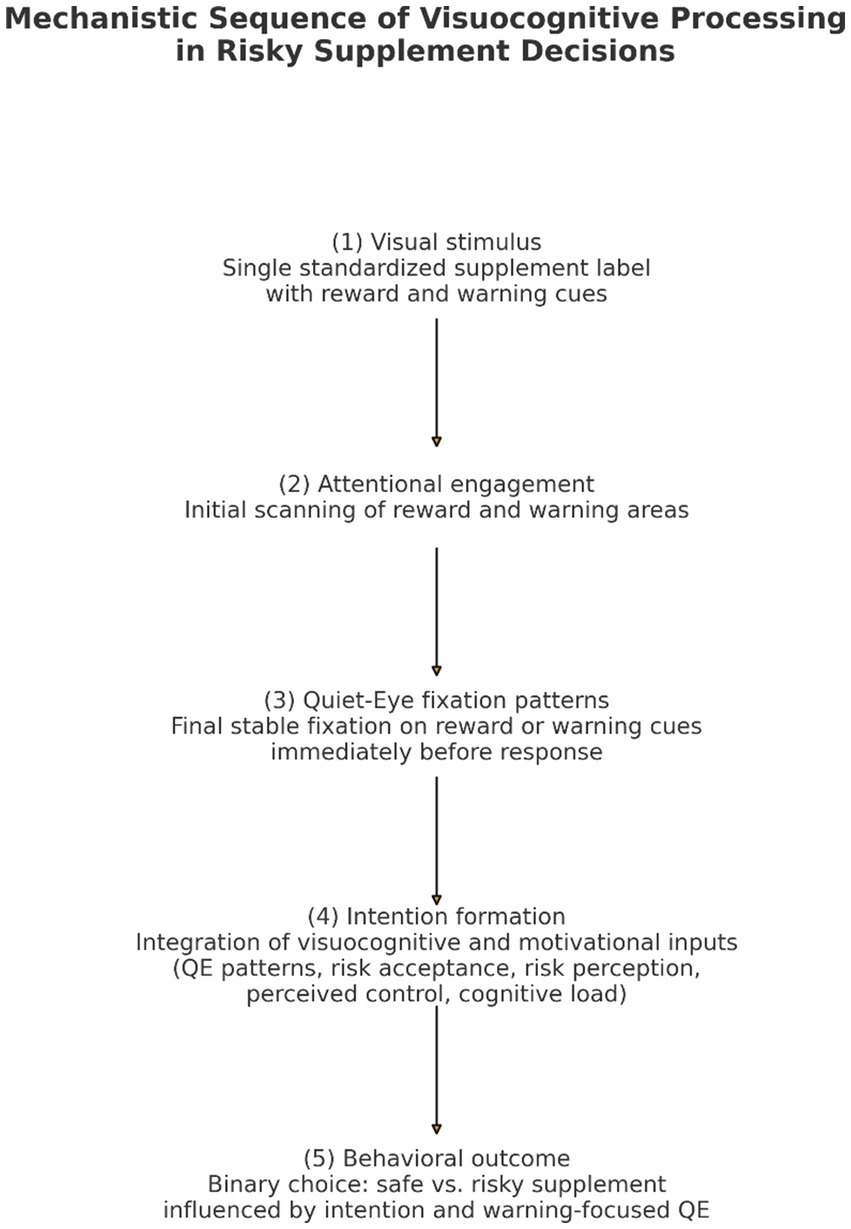 Flowchart illustrating the sequence of visuocognitive processing in risky supplement decisions, progressing from visual stimulus, attentional engagement, quiet-eye fixation patterns, intention formation, to behavioral outcome, with each step detailing cognitive and motivational factors involved.