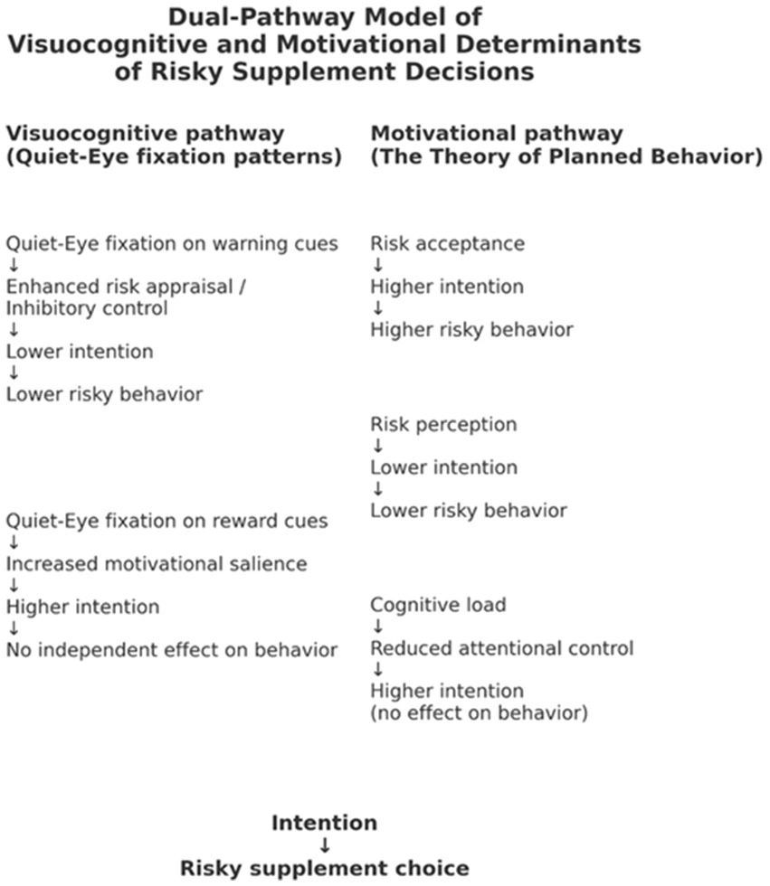 Diagram illustrating the Dual-Pathway Model of Visuocognitive and Motivational Determinants of Risky Supplement Decisions, comparing visuocognitive and motivational pathways, each depicting sequential influences on intention and risky behavior, culminating in risky supplement choice.