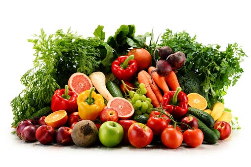Fruits and Vegetables Dogs Can or Can't Eat