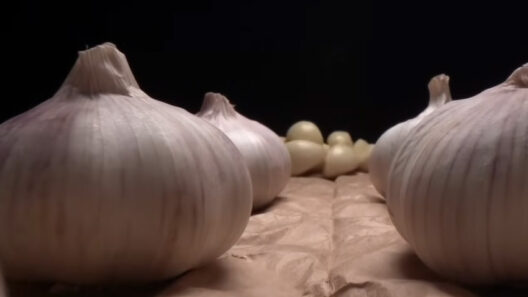 Eat raw garlic daily? Shocking health benefits revealed