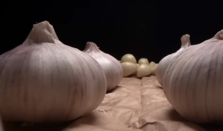 Eat raw garlic daily? Shocking health benefits revealed