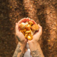 Moderate UV light is best when it comes to boosting the vitamin D content of edible mushrooms, McGill study finds