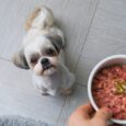 Hill's Pet Nutrition Receives FDA Approval For Animal Protein Ingredient