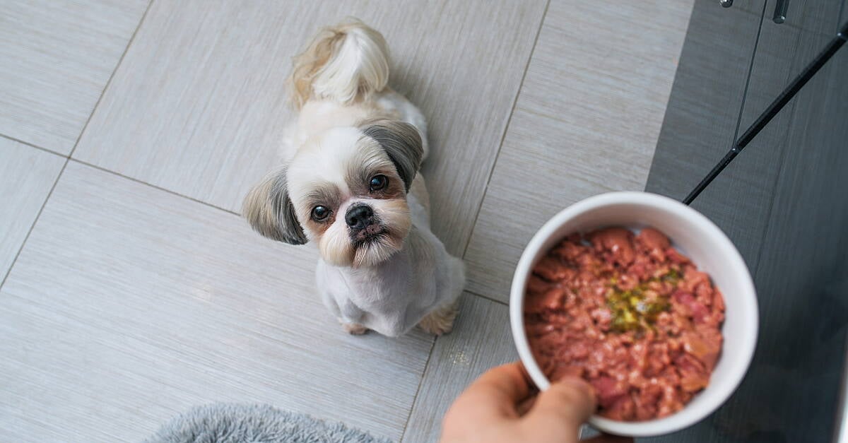Hill's Pet Nutrition Receives FDA Approval For Animal Protein Ingredient