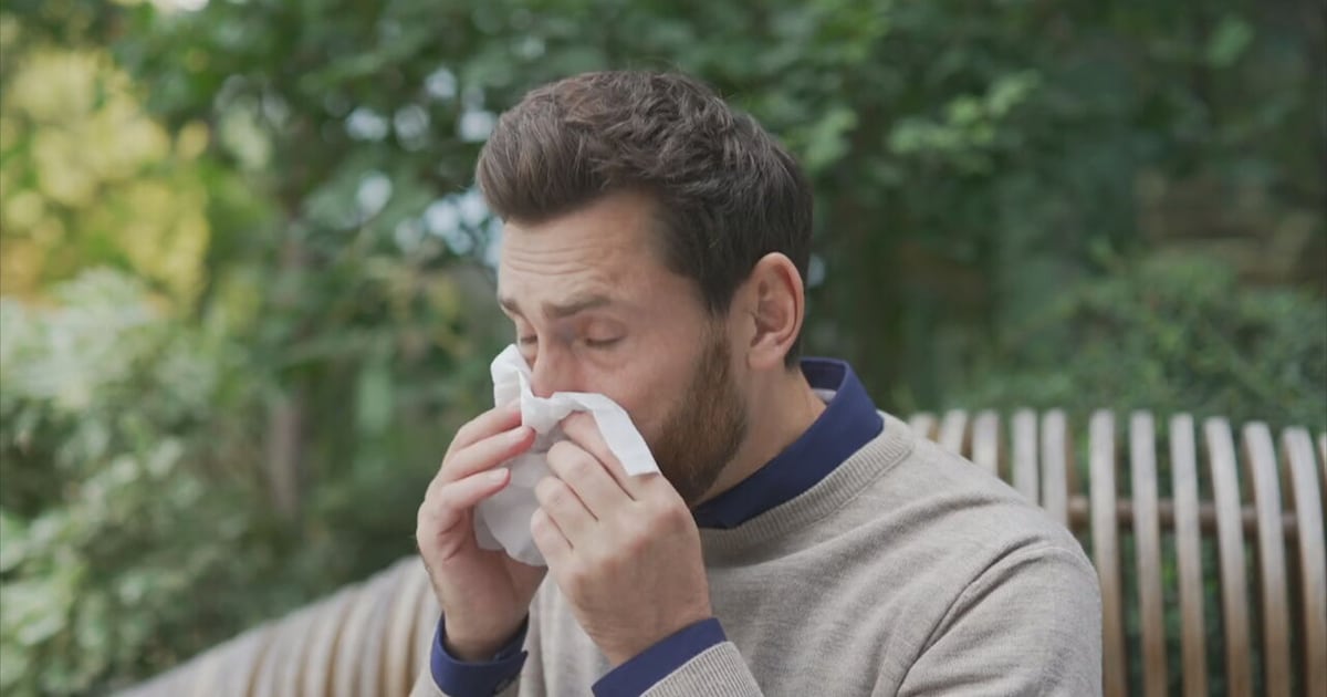 Worse air quality means worse allergies – Boston 25 News