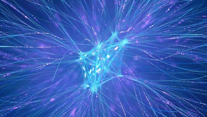 Neural Activity Within Machine Learning Network