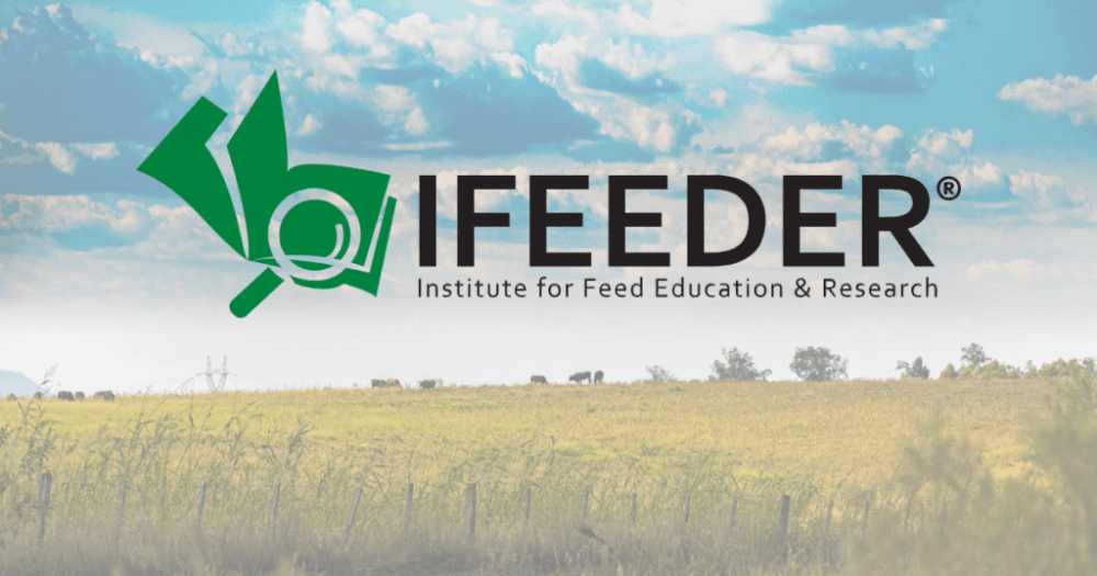 IFEEDER Adds Ruminant-focused Mini Reports to the Vitamin and Amino Acid Supply Chain Assessment