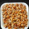 Benefits Of Eating Sprouts