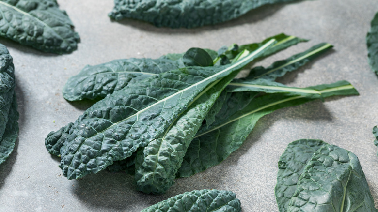 Lacinato kale leaves stacked on top of one another
