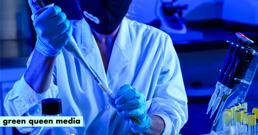 Moolec Science Advances GLA-Rich Safflower Oil & Expands Into Green Energy