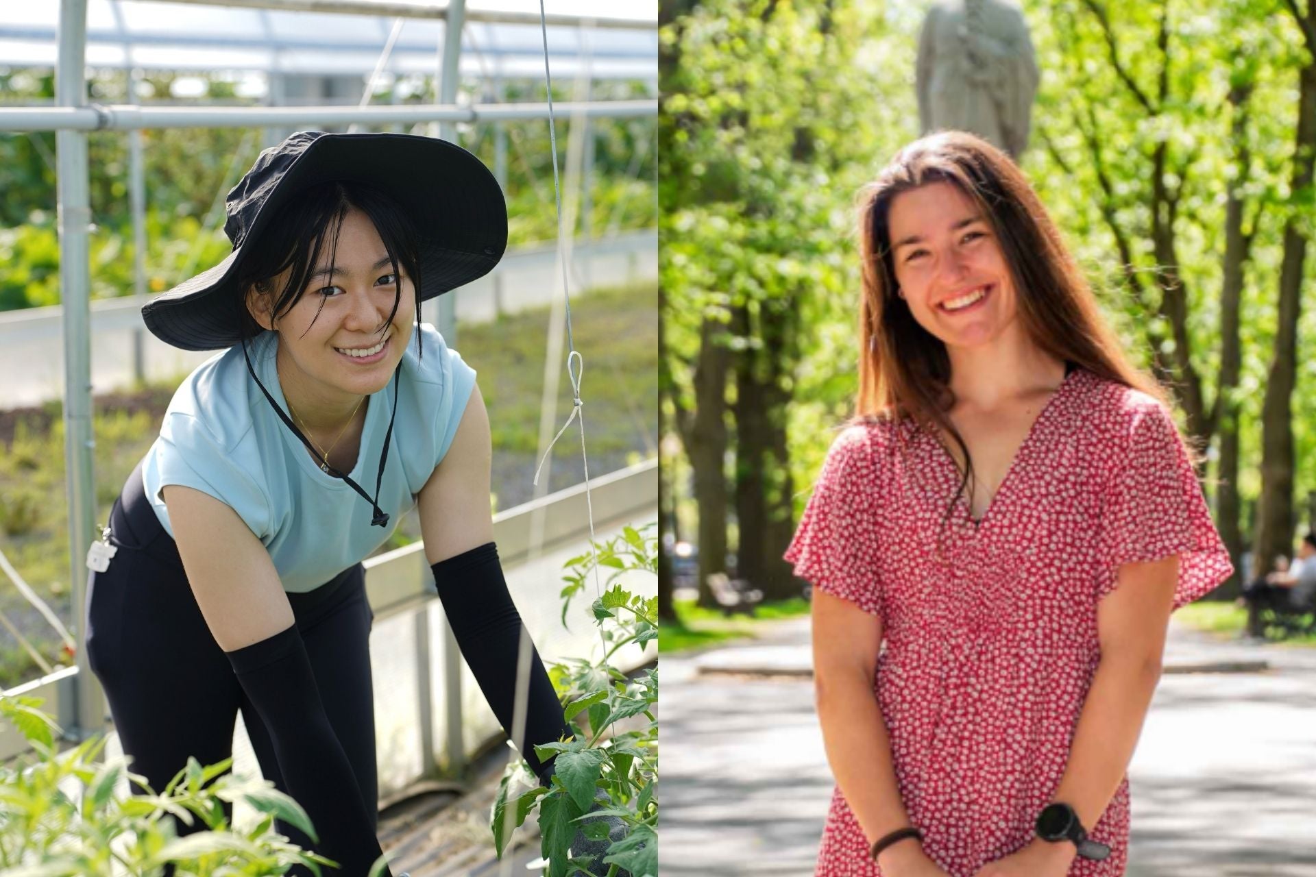 Why Are Undergraduates Choosing an Accelerated Master’s Path in Nutrition?