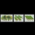 Steeley will discuss how enhanced rock weathering benefits cabruca and agroforestry systems at EGU 2026. Credit: Steeley et al., 2025, https://doi.org/10.1002/ppp3.70097