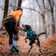 Best Fitness Gear for Dogs, Runners, Hikers 2026