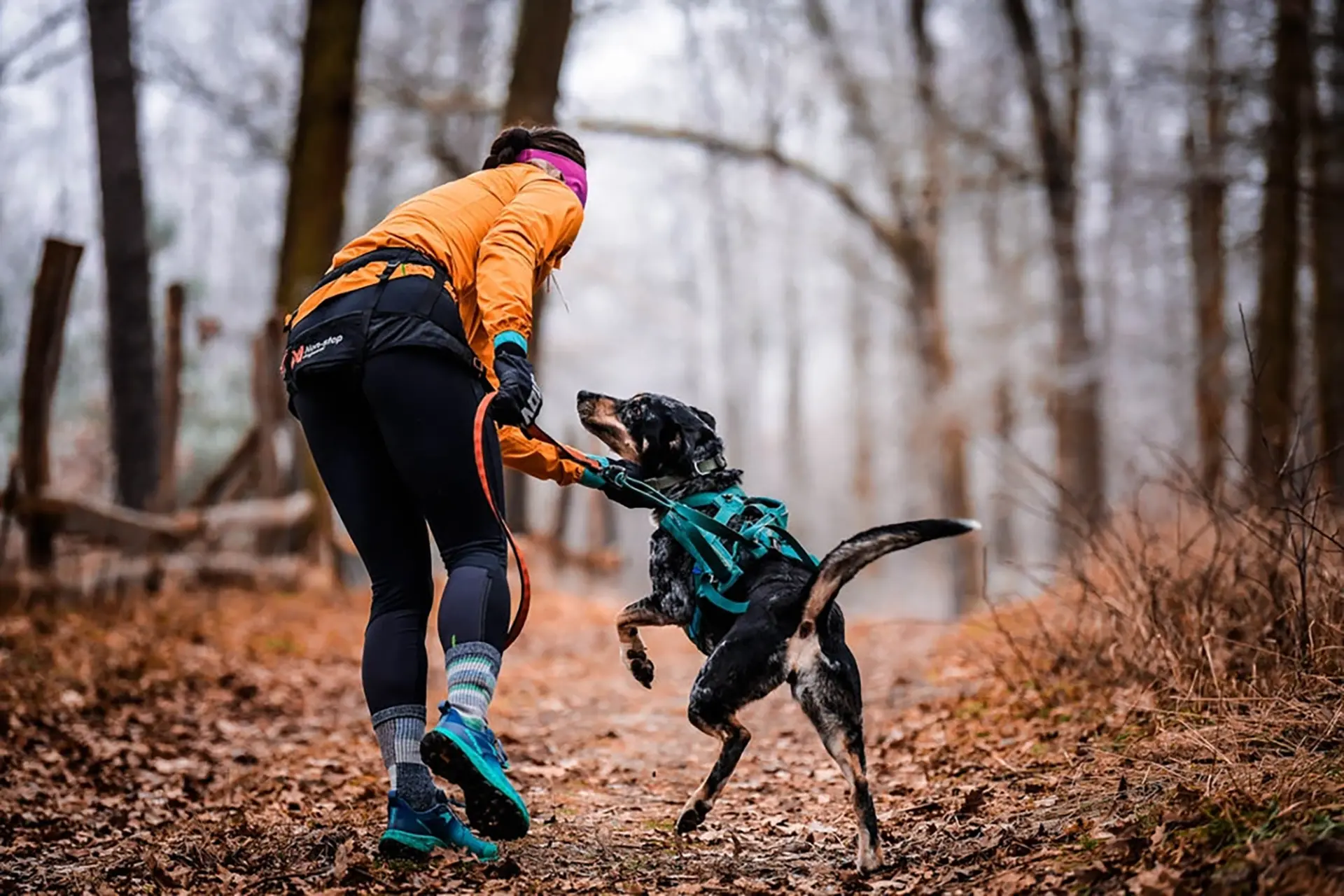 Best Fitness Gear for Dogs, Runners, Hikers 2026