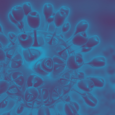 "Immunity passports" in the context of COVID-19