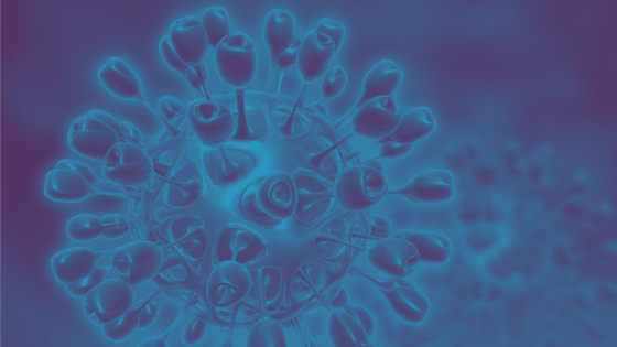 "Immunity passports" in the context of COVID-19