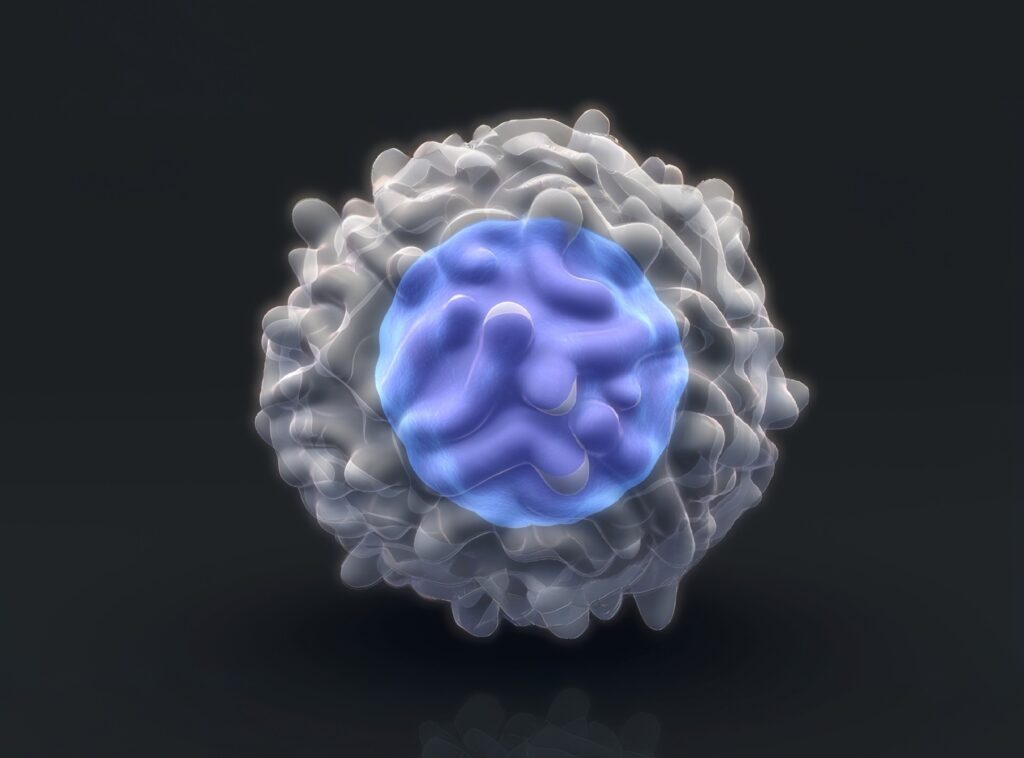 Weight loss may not erase obesity’s impact on immune cells