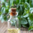 From Immune Support to Skin Health