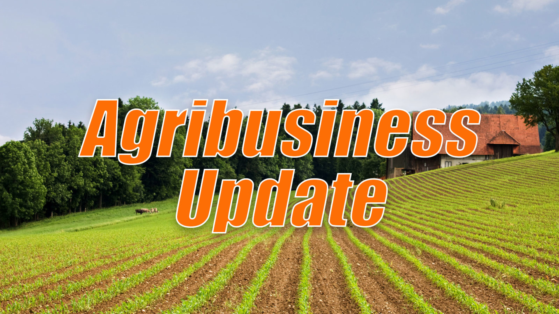 Food and Nutrition Administration and U.S. Beef Back to the U.K.